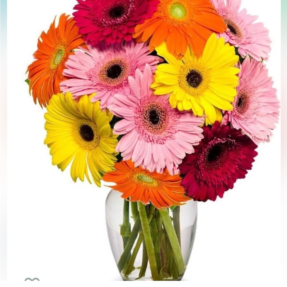Vibrant Gerbera Daisy Bouquet